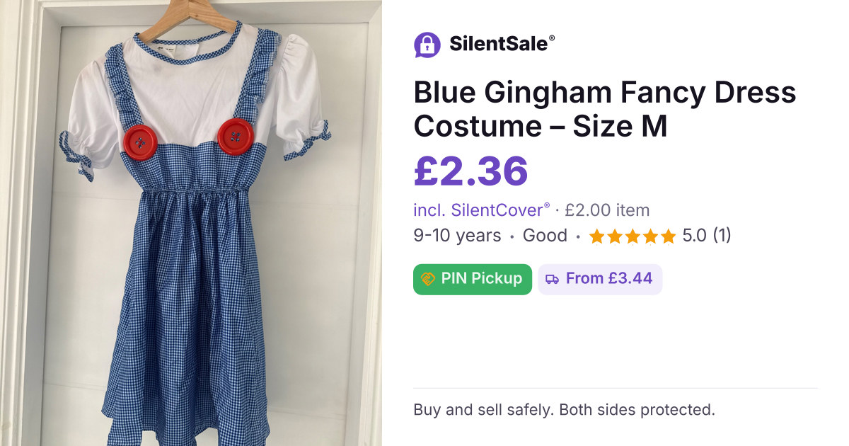 Blue Gingham Fancy Dress Costume – Size M